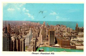 Postcard CITY SKYLINE SCENE Chicago Illinois IL AS9640