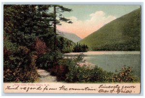 1907 Echo Lake Profile House Mountain Trees Plants River New Hampshire Postcard