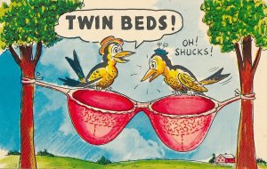 Birds Eying Twin Beds - Humor - Comic