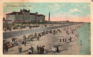 Galveston TX-Texas, Hotel Galvez Concrete & Steel Fireproof Vintage Postcard