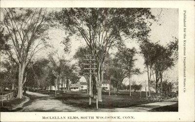 South Woodstock CT McClellan Elms c1910 Postcard