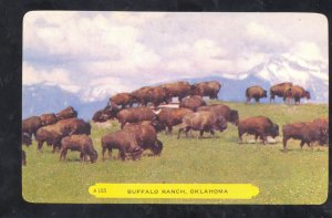 AFTON OKLAHOMA ROUTE 66 BUFFALO RANCH BISON HERD ADVERTISING VINTAGE POSTCARD