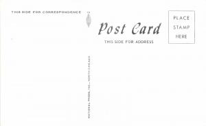 FALMOUTH FORESIDE MAINE DYSART MOTEL~U.S. #1 POSTCARD 1950s