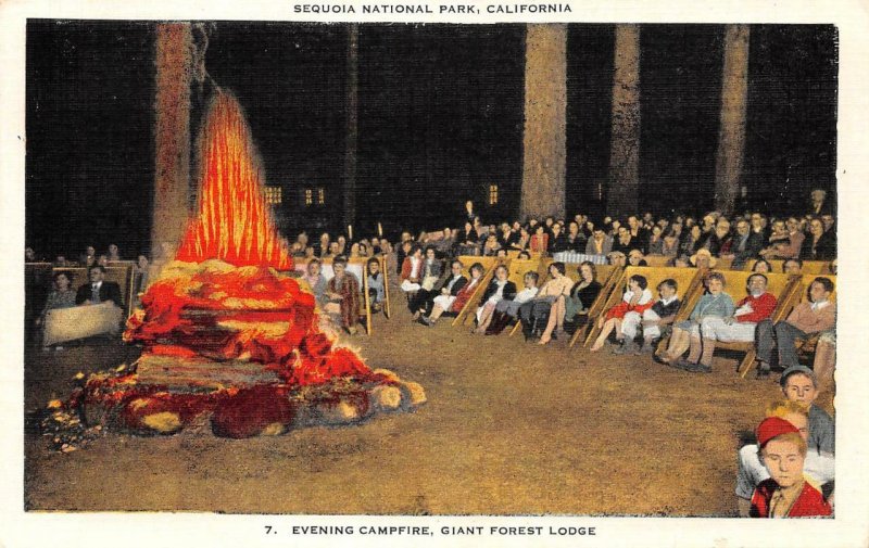 Evening Campfire, Giant Forest Lodge, Sequoia Nat'l Park c1940s Vintage Postcard