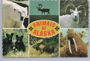 Animals Of Alaska, Bear, Caribou, Dall Sheep, Moose, Walrus, Cubs, 1983 Postcard