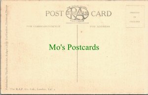 Devon Postcard - Badger's Holt - The Lawn   RS25041