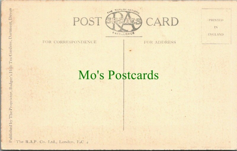 Devon Postcard - Badger's Holt - The Lawn   RS25041