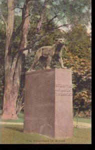 Vermont Bennington  The Catamount in bronze