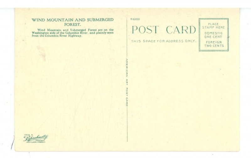 OR - Columbia River. Wind Mountain & Submerged Forest