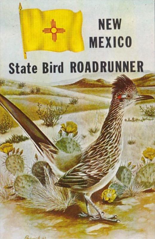 New Mexico State Bird The Road Runner