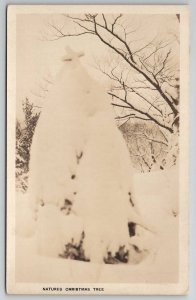 RPPC Natures Christmas Tree Snow Covered Pine Tree c1920s  Postcard B24