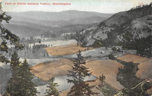 WHITE SALMON VALLEY, WA Klickitat County, Washington 1910 Rare Vintage Postcard