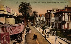 CPA HYERES - L'Avenue des Palmiers (635235)