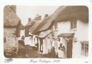 Devon Postcard - Hope Cottages 1890         CC92