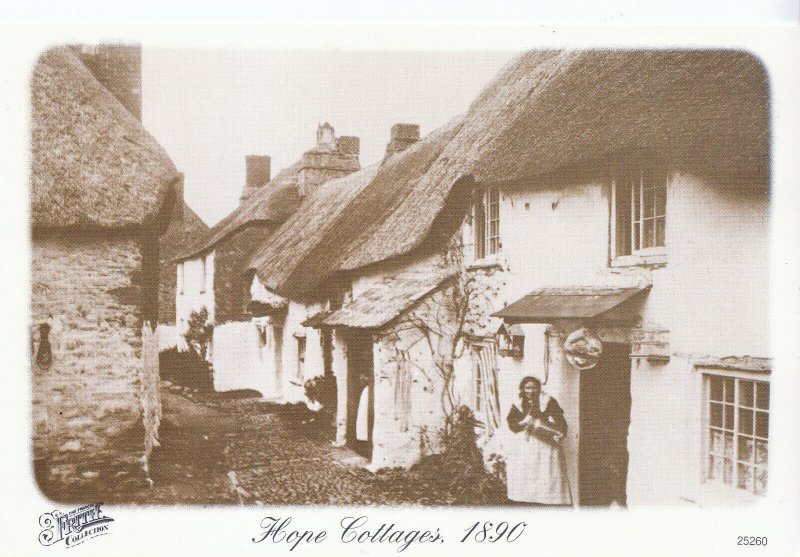 Devon Postcard - Hope Cottages 1890         CC92