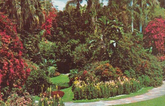 Florida St Petersburg Sunken Gardens Tropical Garden Scene