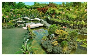 Kongs Floraleigh Gardens most photgraphed Orchid Gardens Hilo Hawaii Postcard