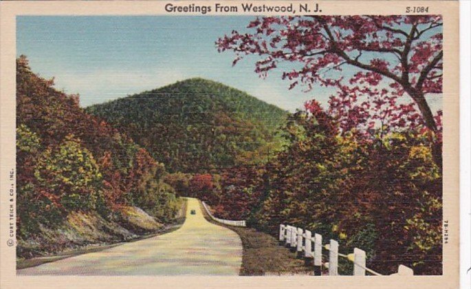 New Jersey Greetings From Westwood Curteich