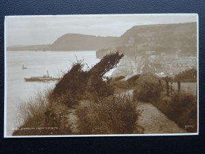 Devon SIDMOUTH From The Alma c1914 RP Postcard by Judges 2852