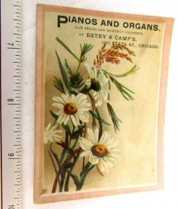 Pianos & Organs at Estey & Camps, State St, Chicago Daisies Trade Card F51
