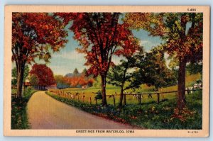 Waterloo Iowa Postcard Greetings Country Road Cows Scenic View c1940's Vintage