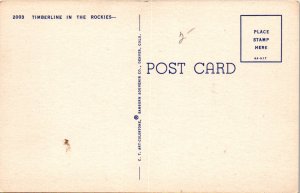 Timberline in the Rockies BIN