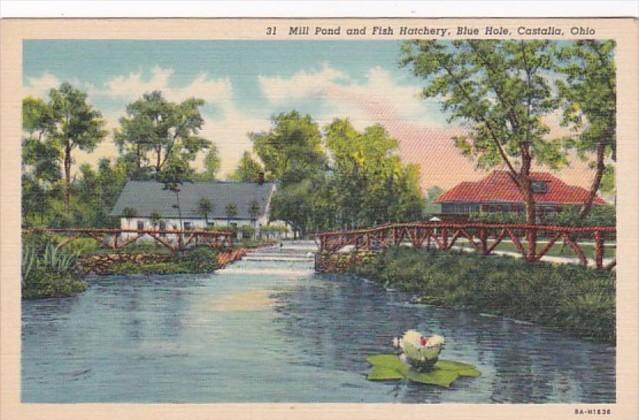 Ohio Castalia Mill Pond and Fish Hatchery Blue Hole Curteich