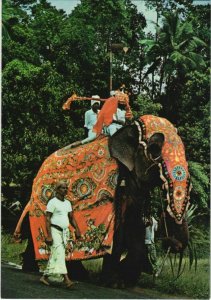 CPM Perahera Elephant Arrayed in Festive Batik CEYLON SRI LANKA (1085931)