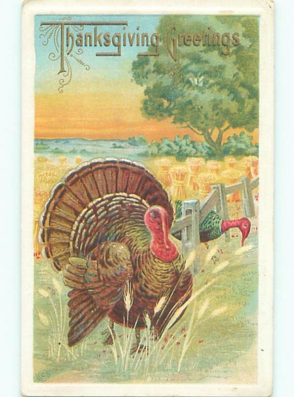 Divided-Back THANKSGIVING SCENE Great Postcard AA0658
