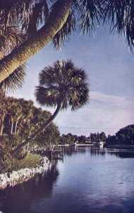 Vintage Postcard Myriads of Lakes Rivers & Canals Bayou Florida FL