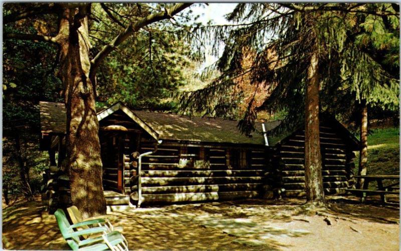 COOK FOREST STATE PARK, Pennsylvania  PA   CABINS at MacBETH'S  c1960s  Postcard