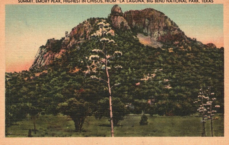 Vintage Postcard Summit Emory Peak from La Laguna Big Bend National Park Texas 