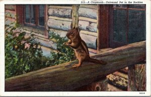 postcard - Chipmunk - Universal Pet in the Rockies