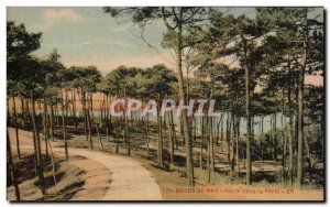 Old Postcard Bords De Mer Road in the Forest