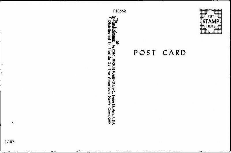 Vintage 1957 Back Seat Driver's License Comedy Funny Postcard