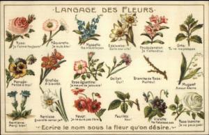 French Language of Flowers Nicely Embossed Atelier H Guggenheim Postcard