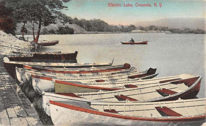 Oneonta New York Electric Lake Row Boats Antique Postcard K76909