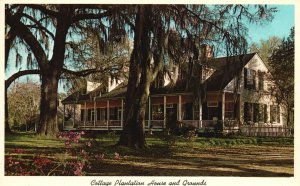 Cottage Plantation House And Grounds St Francisville LA Vintage Postcard