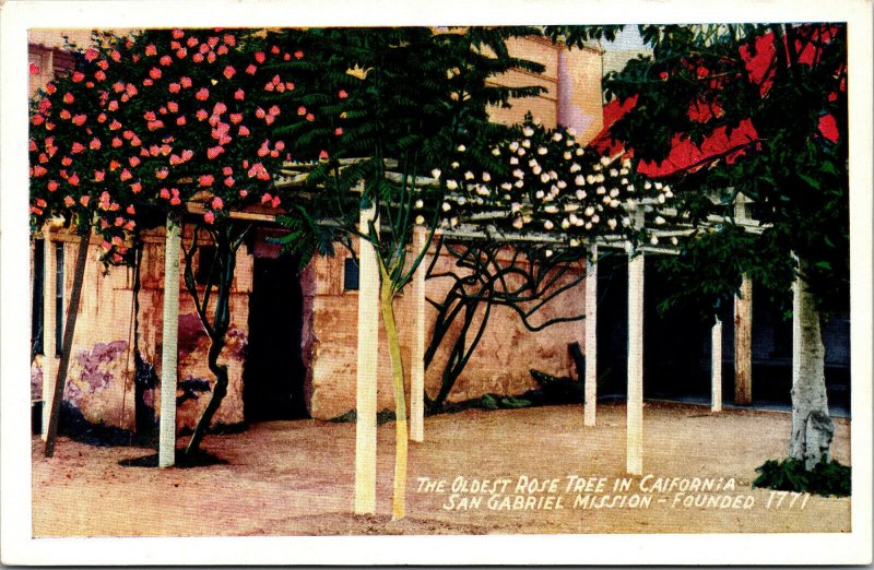 San Grabriel, California The Oldest Rose Tree in Cali., Mission, Religion-A33 