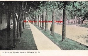 SD, Milbank, South Dakota, Fourth Avenue, Trees, 1908 PM