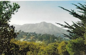 Mount Tamalpais Recreation &Hiking Trails Area Marin County California