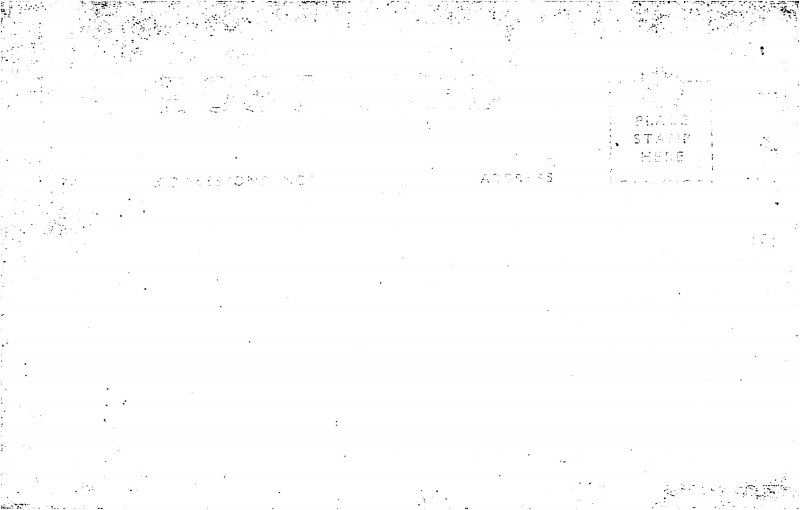 Bernheimer Oriental Gardens Lily Pond Pacific Palisades CA Real Photo postcard