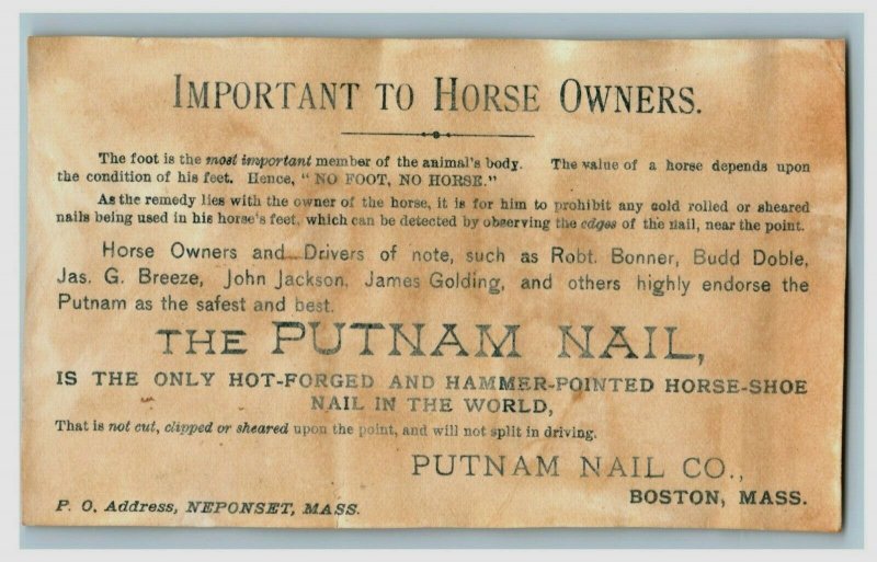 1881 Putnam Nail Hattie Woodward Sulky Harness Race Handsome Horse P195