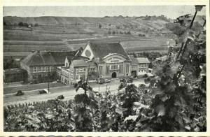 luxemburg, WELLENSTEIN, Caves Coopératives des Vignerons (1950s) Postcard