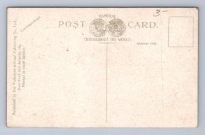 BALLAST POINT FROM THE WATER TAMPA FLORIDA POSTCARD (c. 1910)