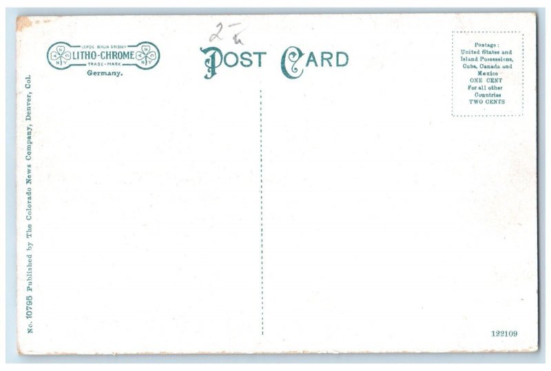 c1910 Brown Hotel Savoy Hotel Metropole Broadway Road Denver Colorado Postcard