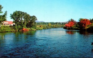 Maine Jackman View Of The Moose River