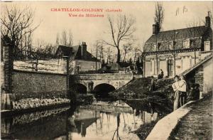 CPA CHATILLON-COLIGNY Vue du Milleron (607471)