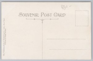 State View~Niagara Falls New York~Great Gorge Route~Devil's Hole~c1910 Postcard