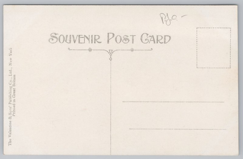 State View~Niagara Falls New York~Great Gorge Route~Devil's Hole~c1910 Postcard